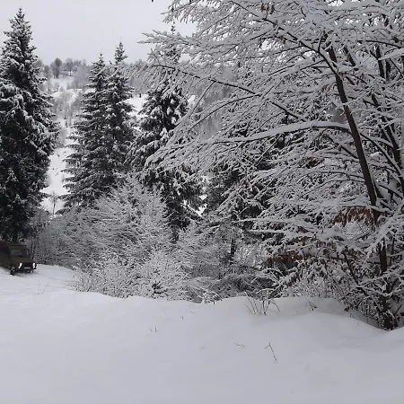Chalet гук