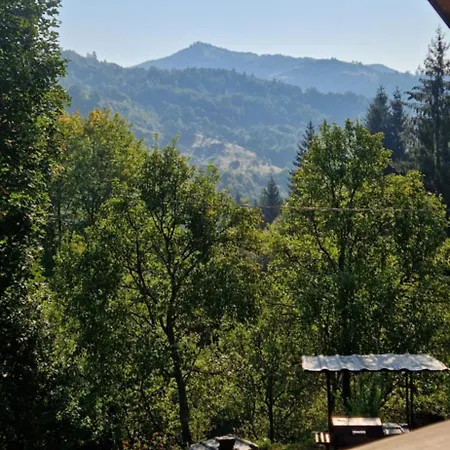 Chalet гук Rakhiv