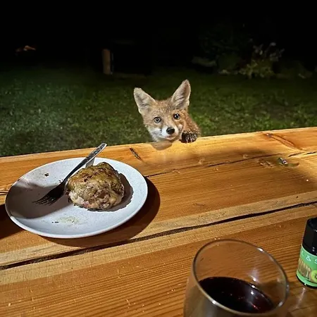 Chalet гук Rachiw