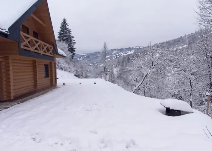 гук 木屋 拉希夫